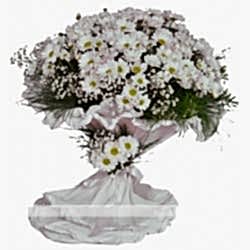 Beyaz papatya buketi