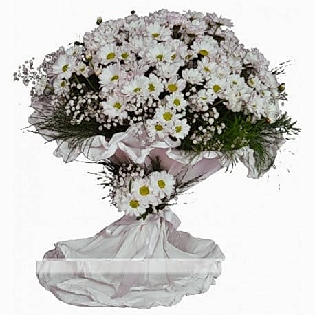 Beyaz papatya buketi