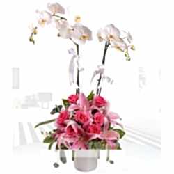 Orkide ve lilyum aranjmanı