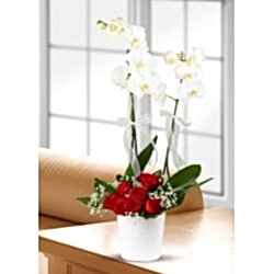 Orkideli gül aranjmanı