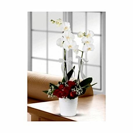 Orkideli gül aranjmanı