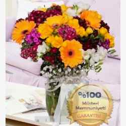 Vazoda Mevsim Çiçekleri