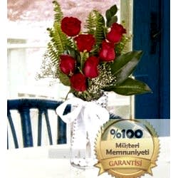 Vazoda 7 Tane Kırmızı Güller