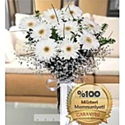 Vazoda Beyaz Gerberalar