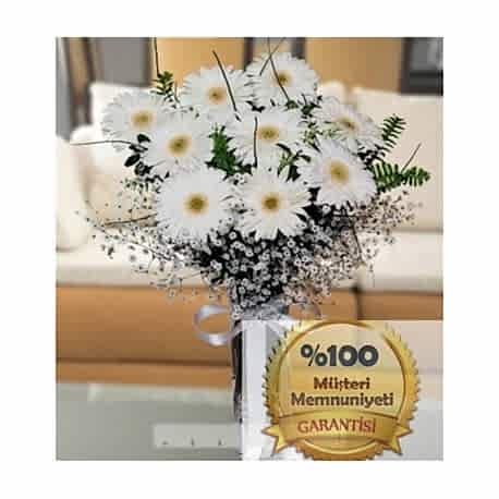 Vazoda Beyaz Gerberalar