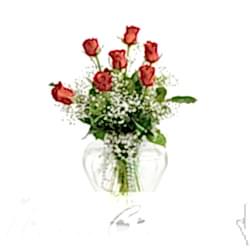 Kalp Vazoda 7 Kırmızı Gül