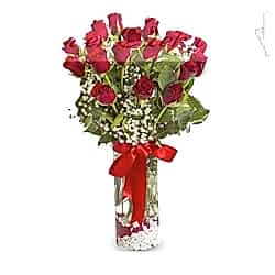Vazoda 20 Kırmızı Gül