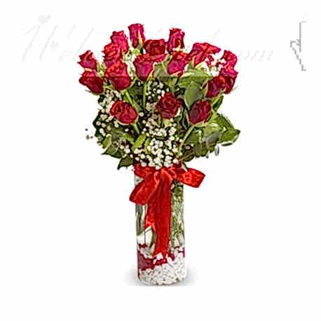 Vazoda 20 Kırmızı Gül