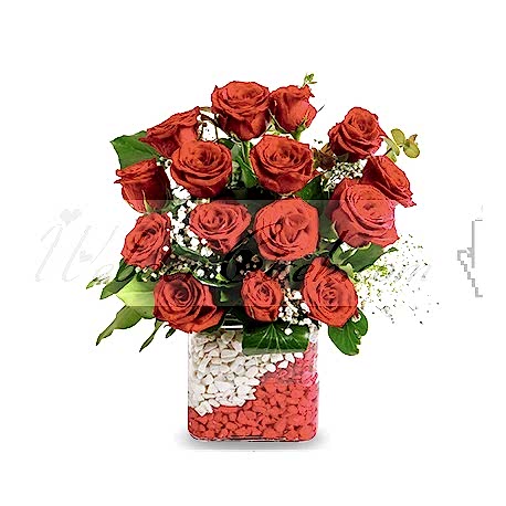 Kare Vazo 15 Kırmızı Gül