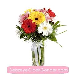 Vazoda Rengarenk Gerberalar